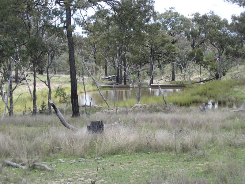 732 Springdale Road, Stanthorpe, Stanthorpe QLD 4380