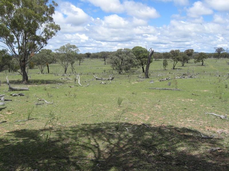 732 Springdale Road, Stanthorpe, Stanthorpe QLD 4380