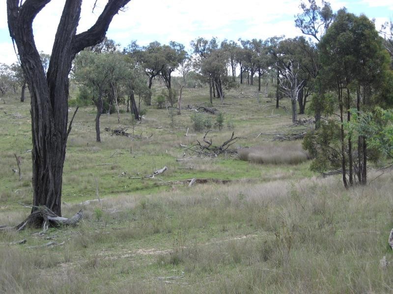 732 Springdale Road, Stanthorpe, Stanthorpe QLD 4380