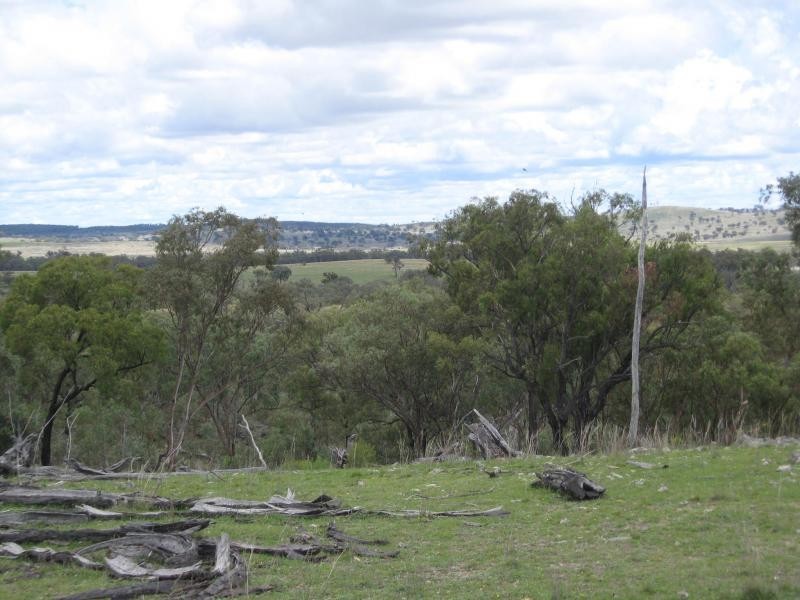732 Springdale Road, Stanthorpe, Stanthorpe QLD 4380