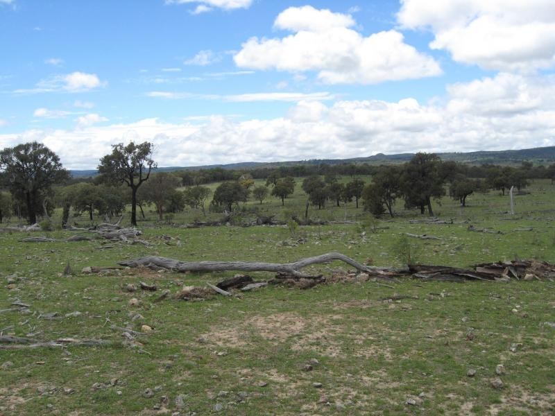 732 Springdale Road, Stanthorpe, Stanthorpe QLD 4380