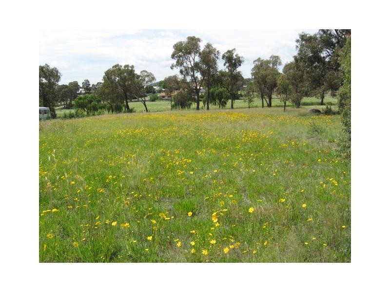 81 Connor Street, Stanthorpe QLD 4380