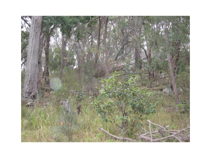 799 Mount Tully Road, Mount Tully, Stanthorpe QLD 4380