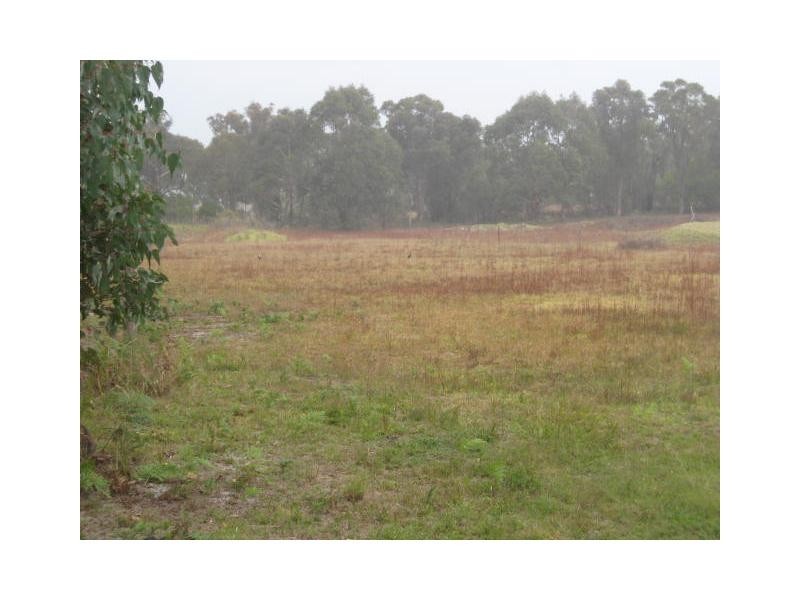 799 Mount Tully Road, Mount Tully, Stanthorpe QLD 4380