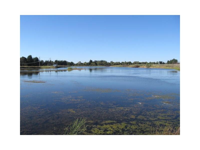 295 Rabbit Fence Road, Cottonvale, Stanthorpe QLD 4380