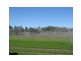 295 Rabbit Fence Road, Cottonvale, Stanthorpe QLD 4380