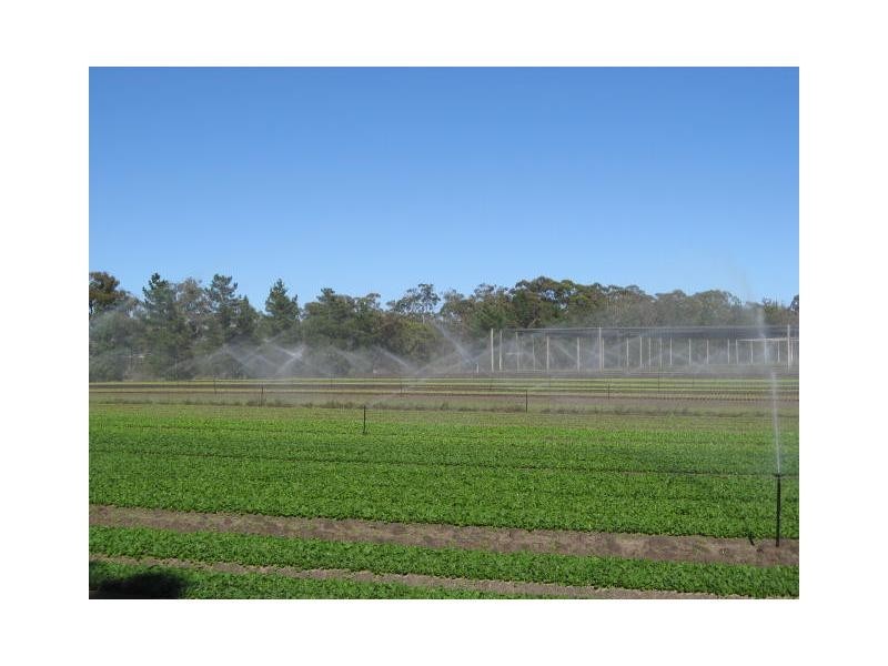 295 Rabbit Fence Road, Cottonvale, Stanthorpe QLD 4380
