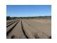 295 Rabbit Fence Road, Cottonvale, Stanthorpe QLD 4380