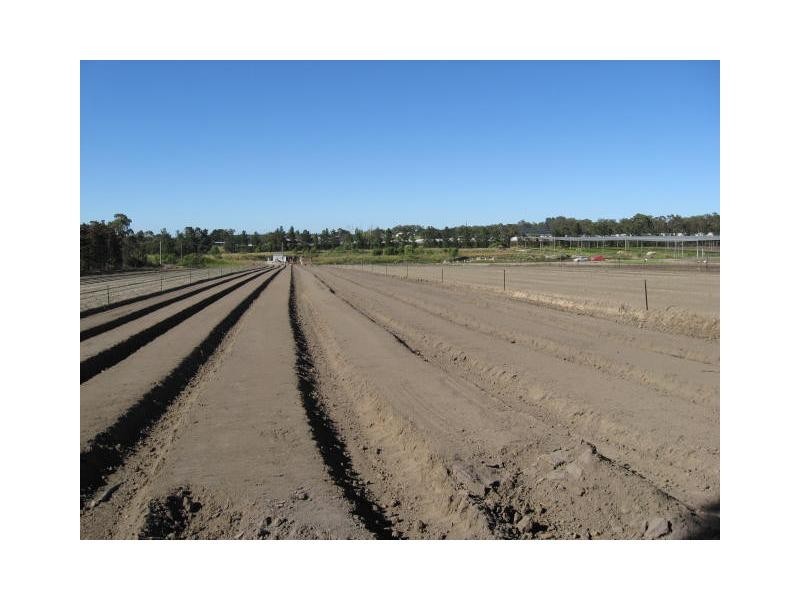 295 Rabbit Fence Road, Cottonvale, Stanthorpe QLD 4380