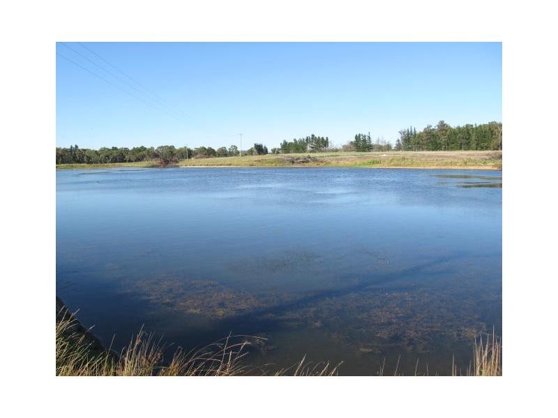 295 Rabbit Fence Road, Cottonvale, Stanthorpe QLD 4380