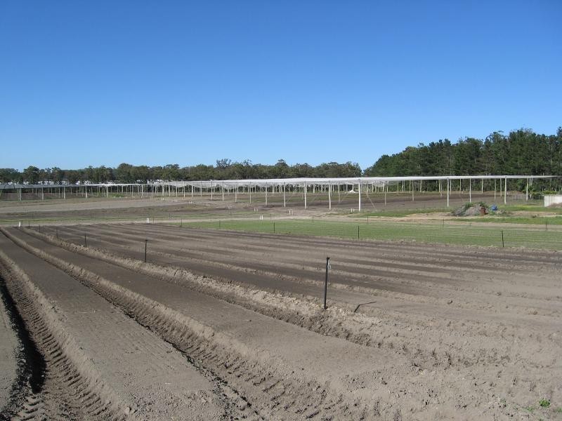 295 Rabbit Fence Road, Cottonvale, Stanthorpe QLD 4380