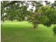 82 Perry Lane, Thulimah, Stanthorpe QLD 4380