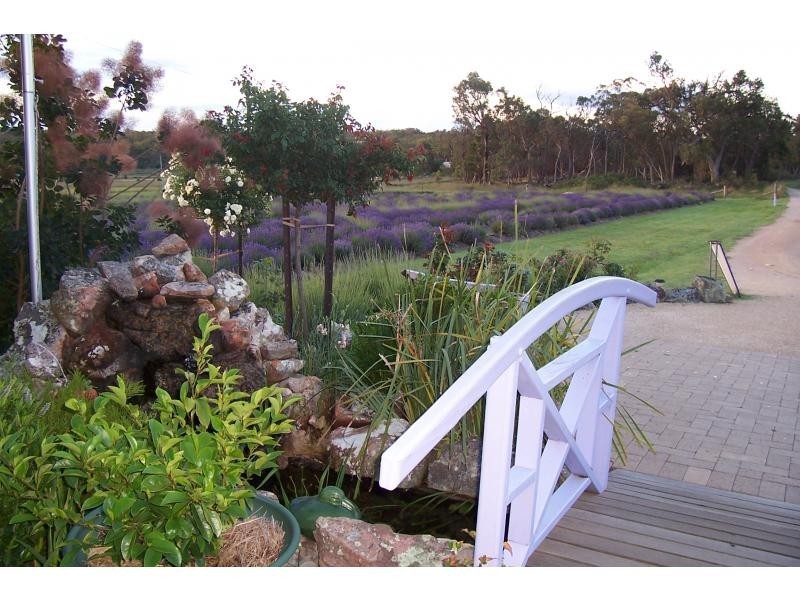 10 Daniels Lane, Stanthorpe, Stanthorpe QLD 4380