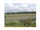 10 Daniels Lane, Stanthorpe, Stanthorpe QLD 4380