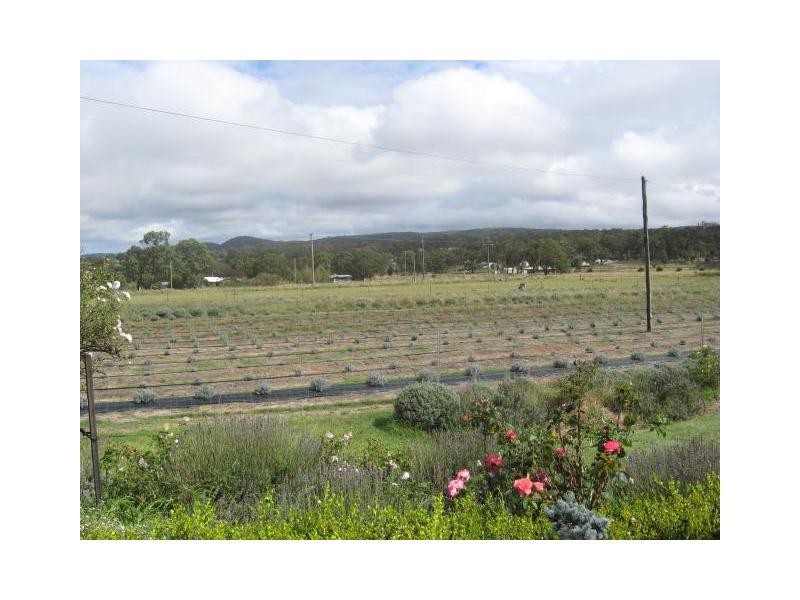 10 Daniels Lane, Stanthorpe, Stanthorpe QLD 4380