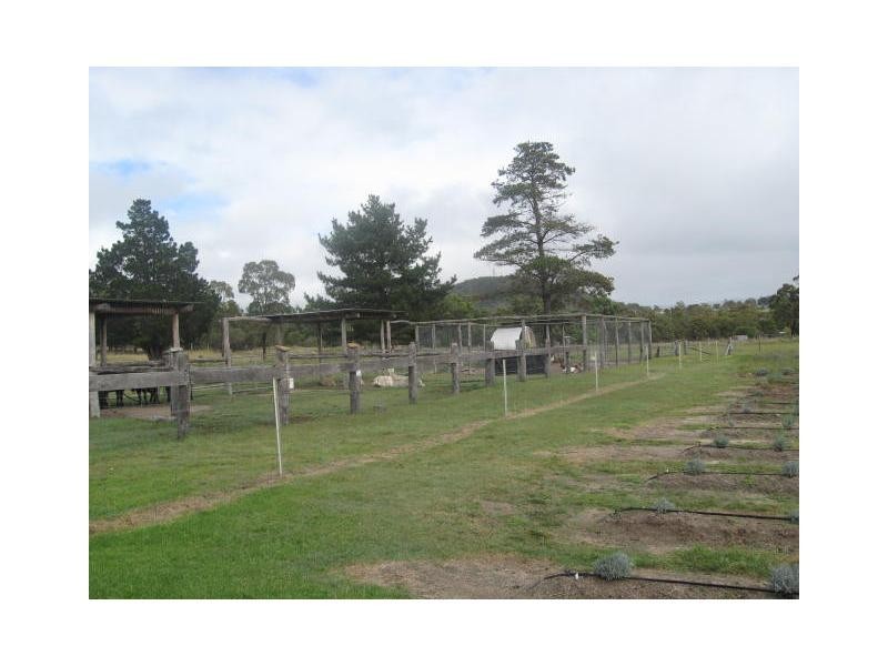 10 Daniels Lane, Stanthorpe, Stanthorpe QLD 4380