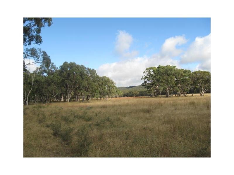 161b Jollys Falls Road, The Summit, Stanthorpe QLD 4380