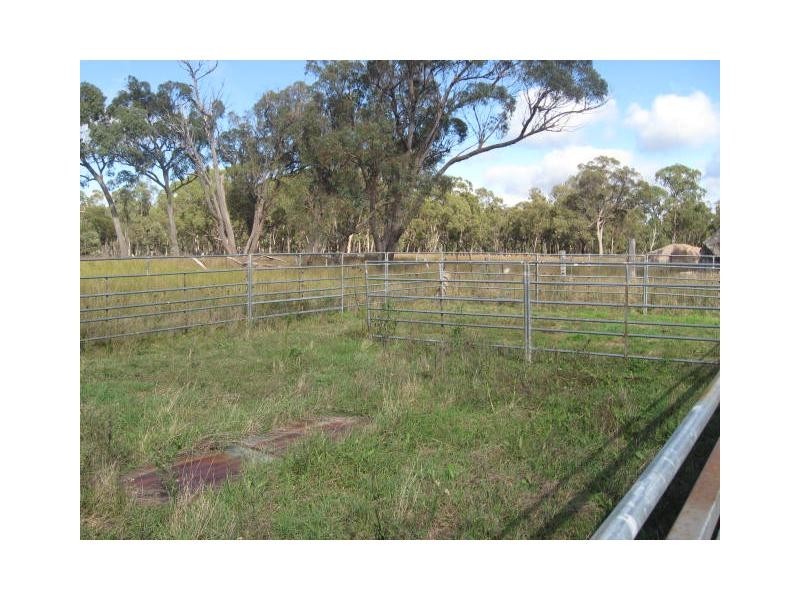 161b Jollys Falls Road, The Summit, Stanthorpe QLD 4380