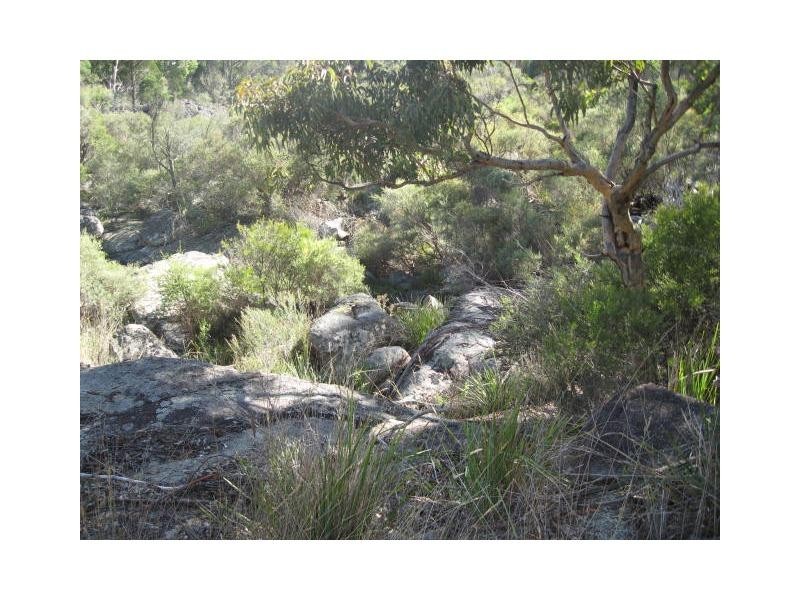 161b Jollys Falls Road, The Summit, Stanthorpe QLD 4380