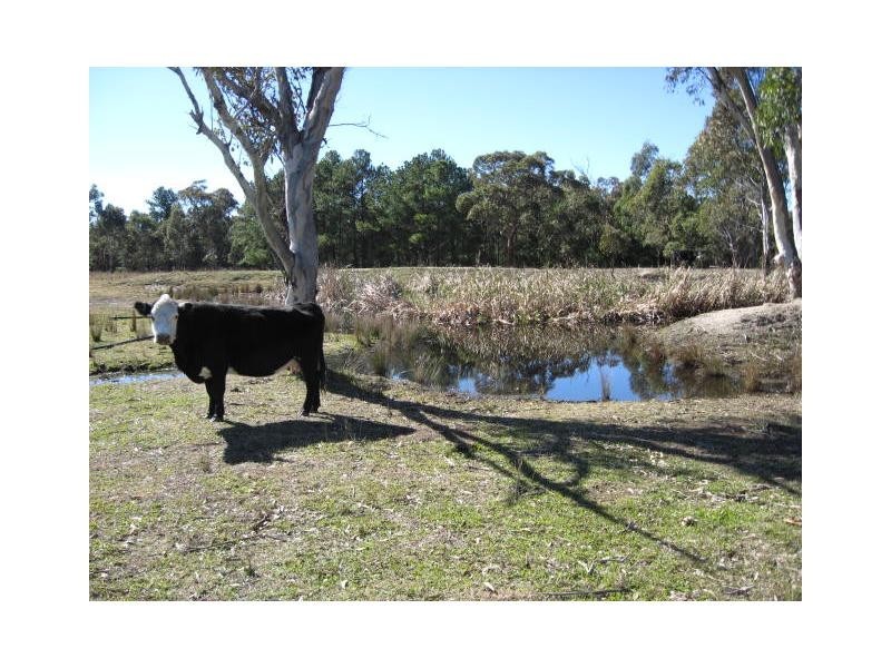 34 Cosmo Lane, Cottonvale, Stanthorpe QLD 4380