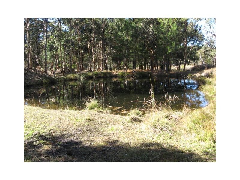 34 Cosmo Lane, Cottonvale, Stanthorpe QLD 4380