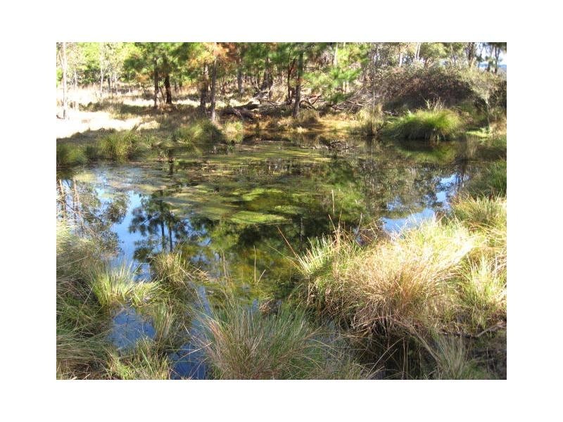 34 Cosmo Lane, Cottonvale, Stanthorpe QLD 4380