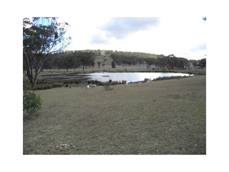 162 Magnoli Lane, Greenlands, Stanthorpe QLD 4380