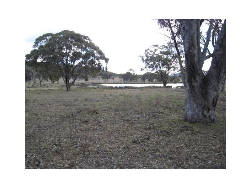 162 Magnoli Lane, Greenlands, Stanthorpe QLD 4380