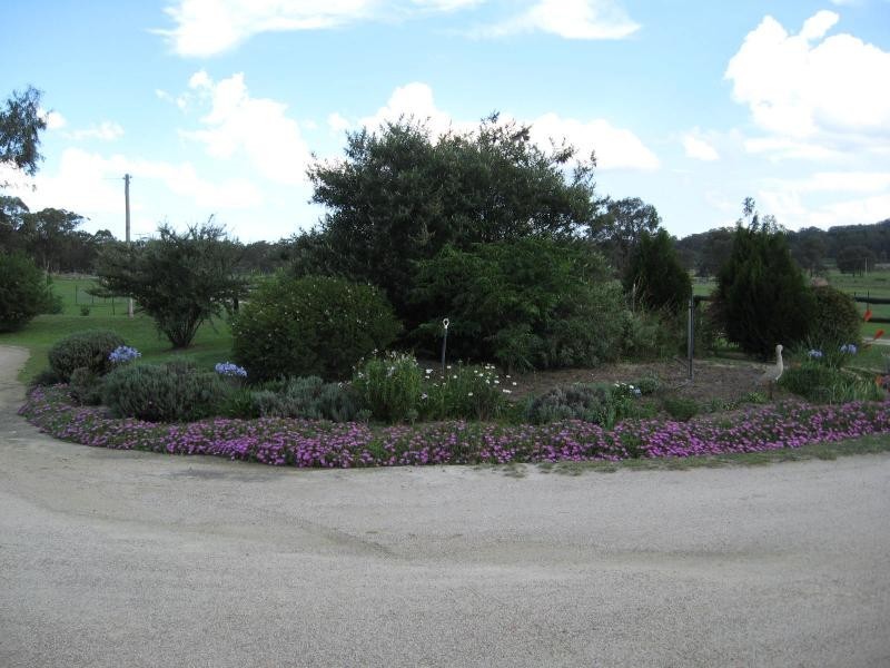 266 Neilsens Road, Storm King, Stanthorpe QLD 4380