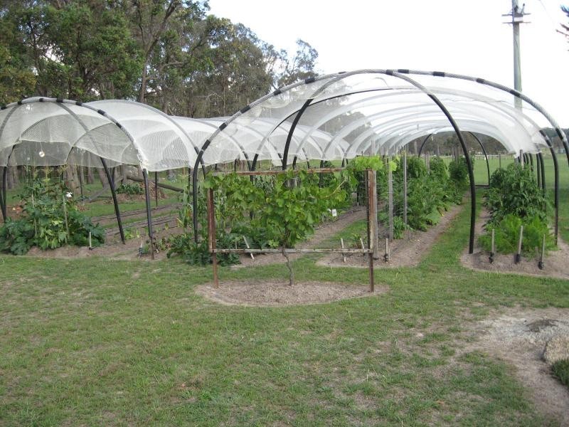 266 Neilsens Road, Storm King, Stanthorpe QLD 4380