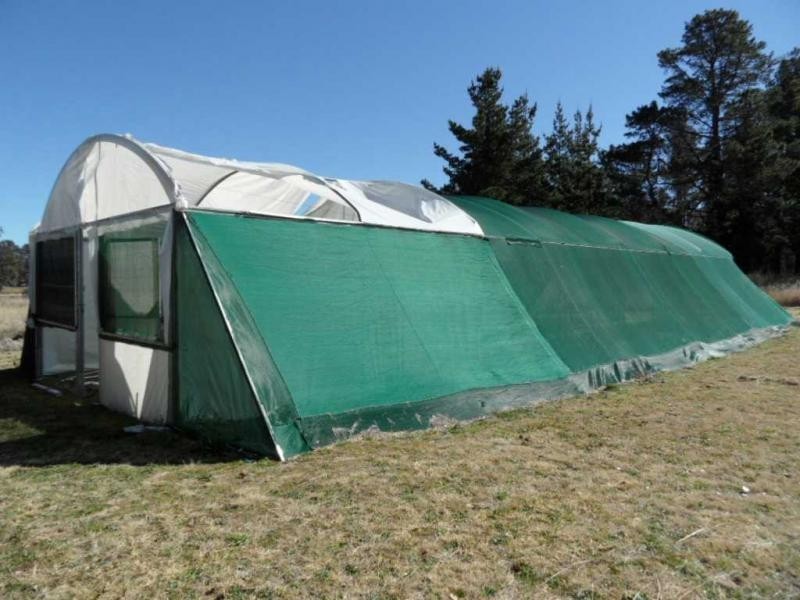 246 Donges Road, Severnlea, Stanthorpe QLD 4380