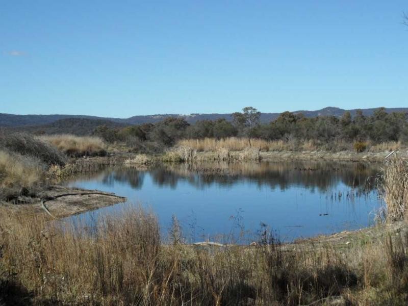 246 Donges Road, Severnlea, Stanthorpe QLD 4380