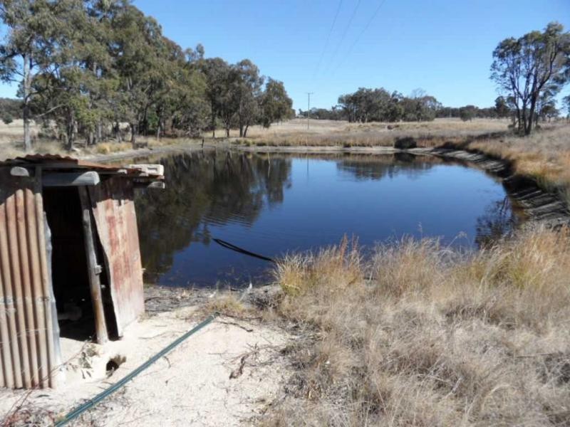 246 Donges Road, Severnlea, Stanthorpe QLD 4380