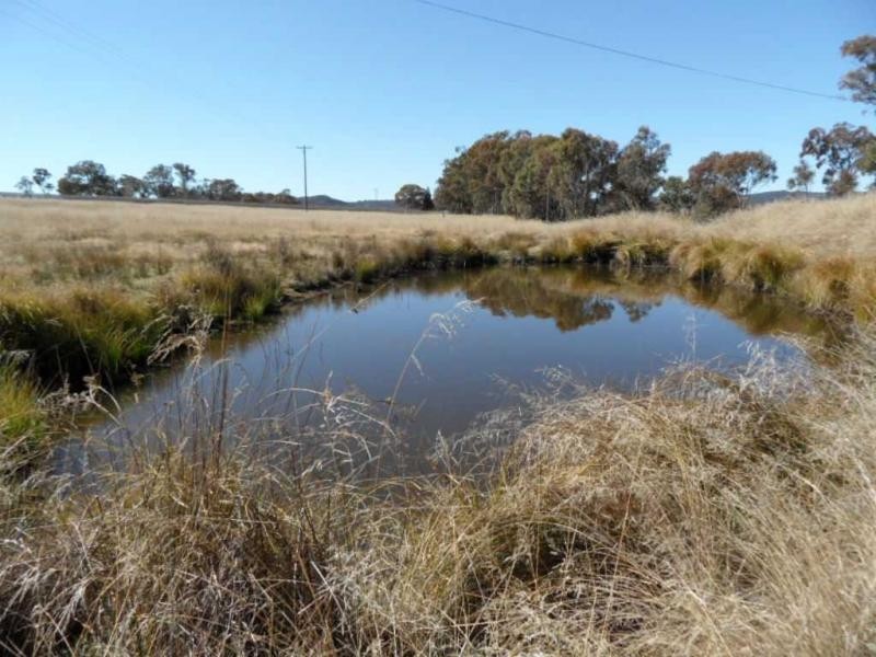 246 Donges Road, Severnlea, Stanthorpe QLD 4380