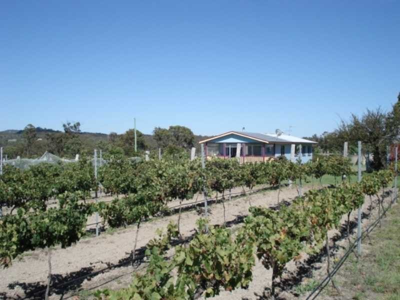 246 Donges Road, Severnlea, Stanthorpe QLD 4380