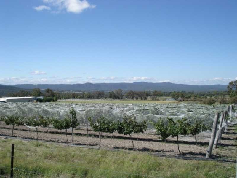 246 Donges Road, Severnlea, Stanthorpe QLD 4380