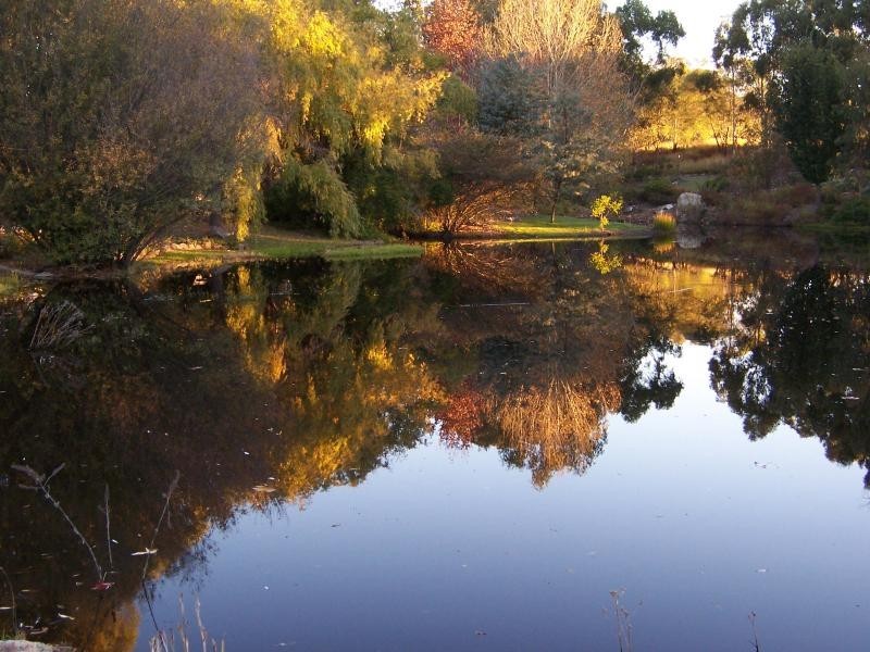 90 Nicholson Road, Stanthorpe, Stanthorpe QLD 4380