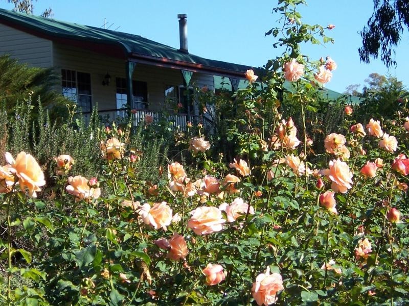 90 Nicholson Road, Stanthorpe, Stanthorpe QLD 4380