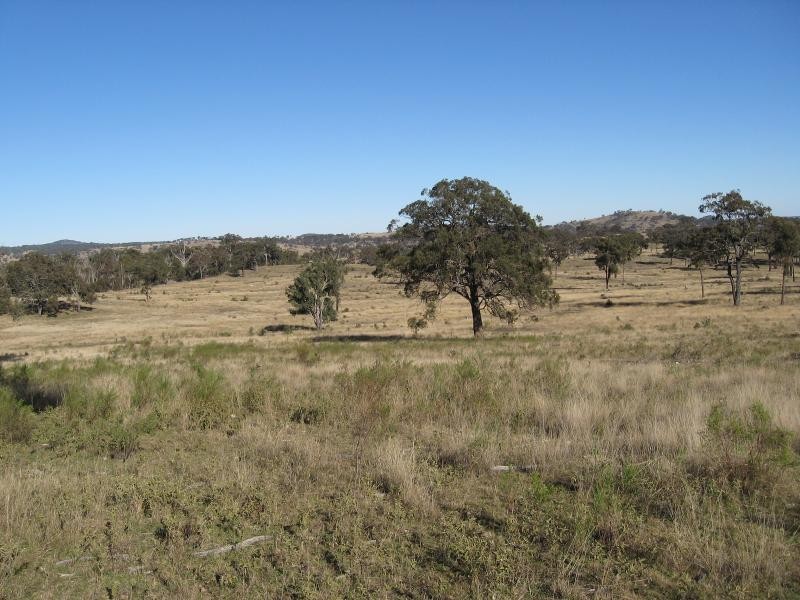 Lot 6 Glentanna Road, Dalveen, Dalveen QLD 4374