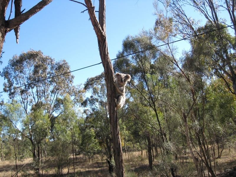 Lot 6 Glentanna Road, Dalveen, Dalveen QLD 4374