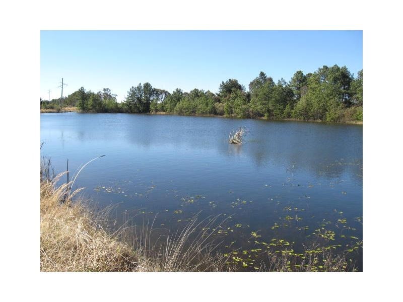 29 Cosmo Lane, Cottonvale, Stanthorpe QLD 4380