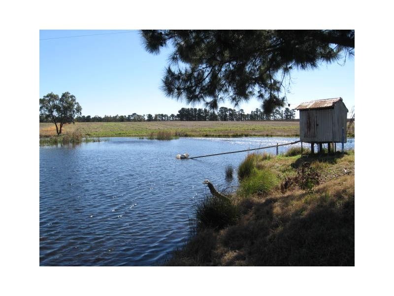 29 Cosmo Lane, Cottonvale, Stanthorpe QLD 4380