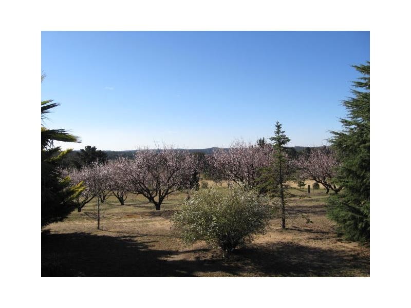 Stanthorpe QLD 4380