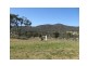 223 Back Creek Road, Severnlea, Stanthorpe QLD 4380