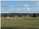 223 Back Creek Road, Severnlea, Stanthorpe QLD 4380