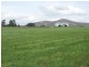 223 Back Creek Road, Severnlea, Stanthorpe QLD 4380