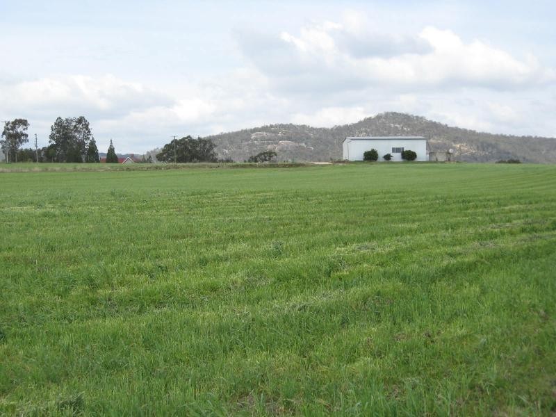 223 Back Creek Road, Severnlea, Stanthorpe QLD 4380