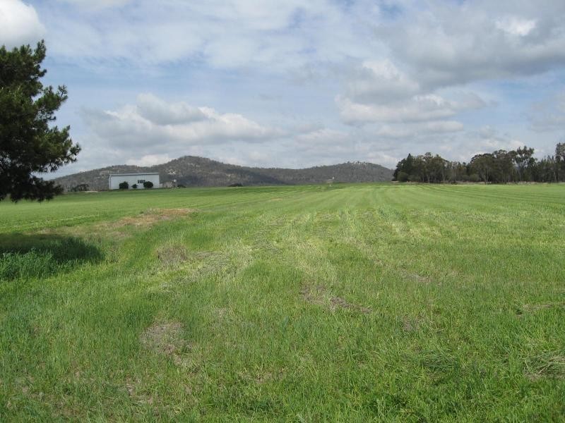 223 Back Creek Road, Severnlea, Stanthorpe QLD 4380