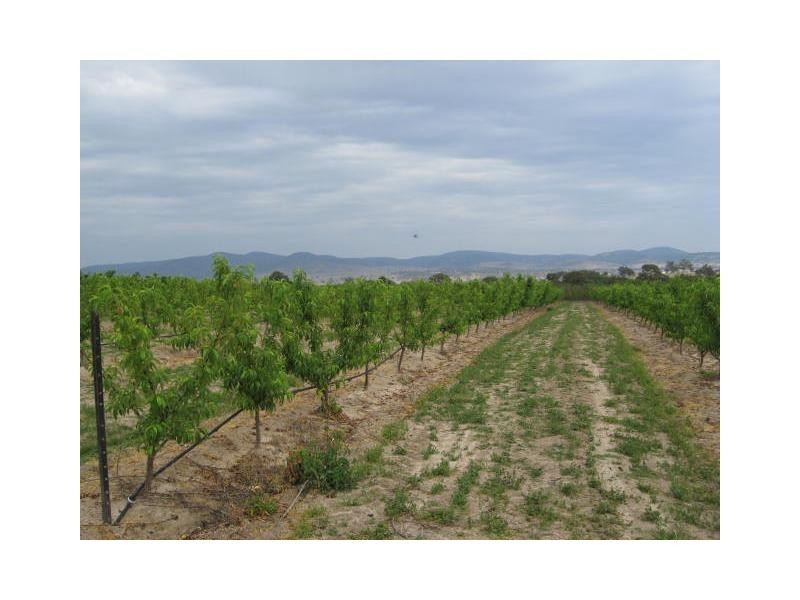 Ballandean QLD 4382