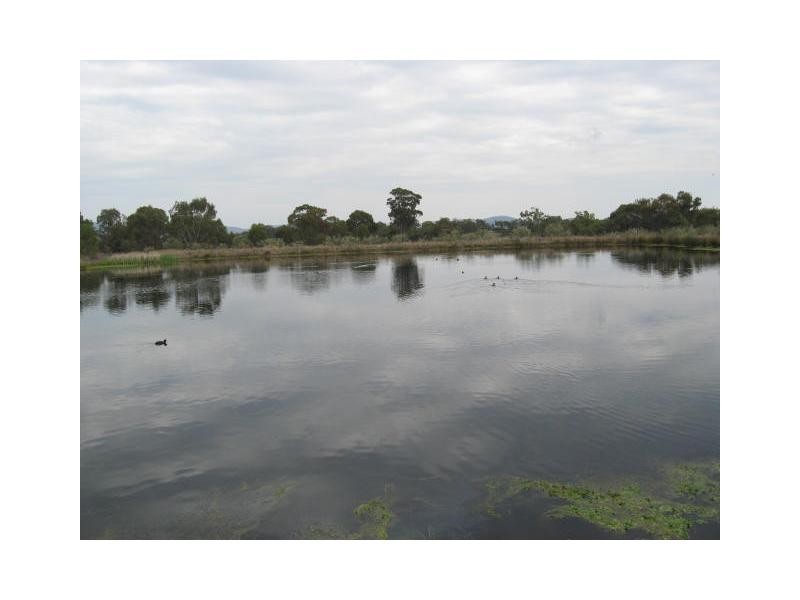 Ballandean QLD 4382